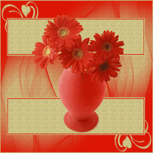 Gerbery w czerwonej doniczce